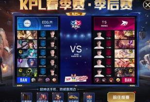 王者kpl最新爆料,揭秘新赛季战队布局与精彩赛事前瞻