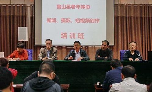 鲁山县最新爆料新闻事件,惊曝某事件背后惊人内幕